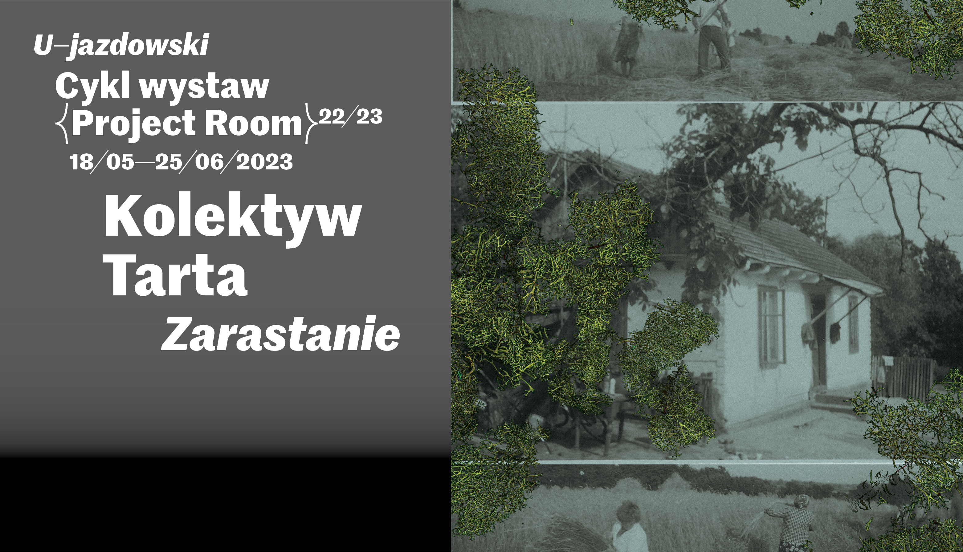 Kolektyw Tarta