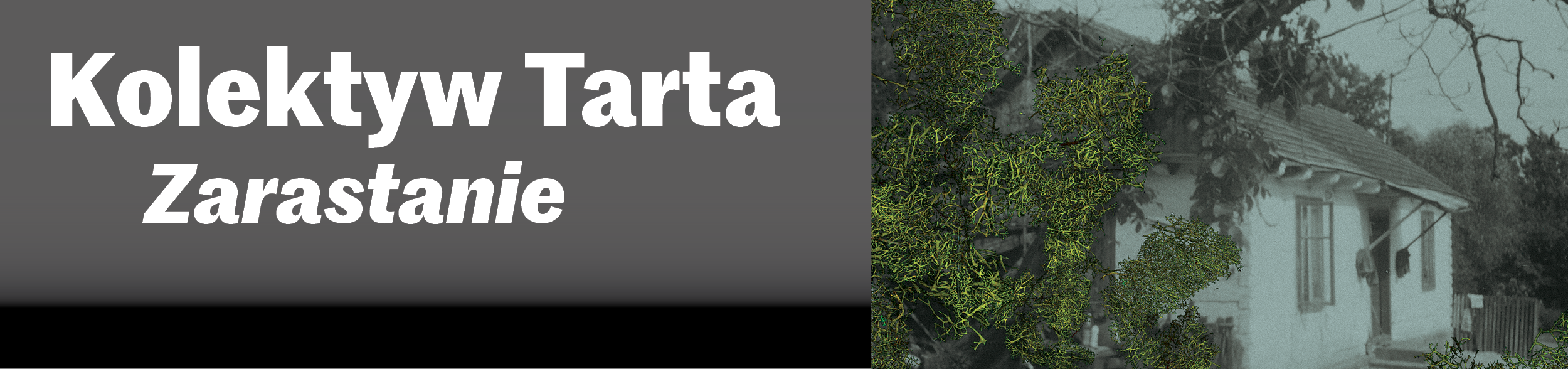 Kolektyw Tarta